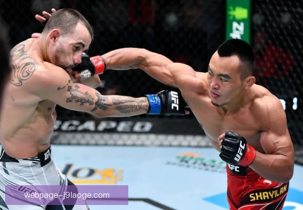中国选手用新型假人训练，UFC备战方式引发热议
